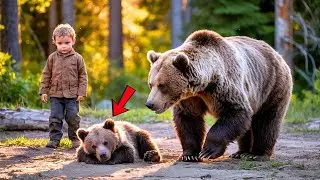 Mother Bear Refused to Help the Dying Bear Cub&mdash;What This Human Baby Did Put Everyone in Tears   Chee