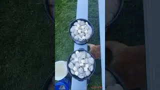 Getting ready for the clam bake