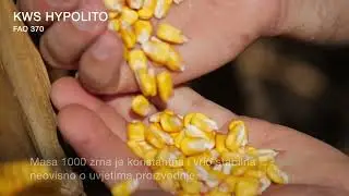 KWS HYPOLITO - ClimaCONTROL3 hibrid