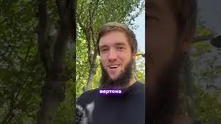 ❗️БАЗА 👇🏻__• Обтягивающий хиджаб_• Танцы с мужчинами_• Никаб или хиджаб с тонной макияжа _•