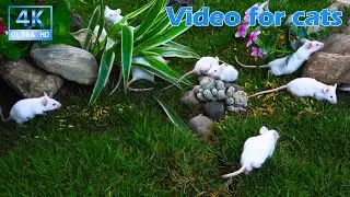 Cat TV for Cats to Watch 😺 Soft Light and Quiet Mice in the Forest Garden 🐭🌳