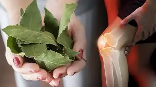 Harrojini farmacit&euml;, syt&euml; tek gjethet e dafin&euml;s dhe do kuroni k&euml;to 20 s&euml;mundje