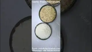Garlic Powder And Granulated Garlic For Sale