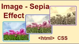 #HTML #CSS #Sepia || Learn how to Do Image Effect with Sepia. In HTML & CSS.