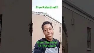Free Palestine!!!! #shorts #gaza #genocide #apartheid Israel #ethnic cleansing #palestine