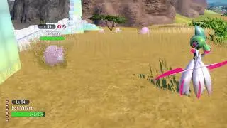 Shiny chansey!