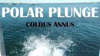 JUMPING INTO THE OCEAN FOR UNUS ANNUS #ColdusAnnus
