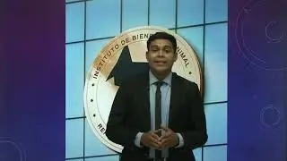 El vac&iacute;o que dej&oacute; el Instituto de Bienestar Animal en El Salvador