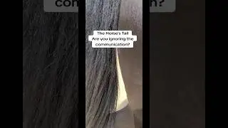 Хвост рассказывает #альтернативнаяверховаяезда