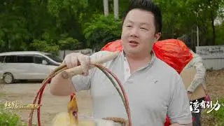 《THE GREATER BAY MAGNET》-Liang Yuwei