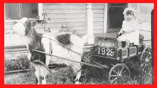 Amazing rare historical images Transportation in the past 📸