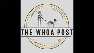 10: Pt 2 Gordon Setters with Debbie Petersen and Stephen Faust