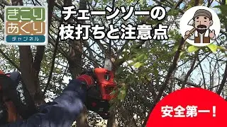 【必見】チェーンソーの枝打ちと注意点 #チェーンソー #安全第一