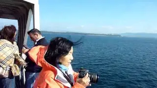 Turkey: Anzac Cove, Dardanellen Strait