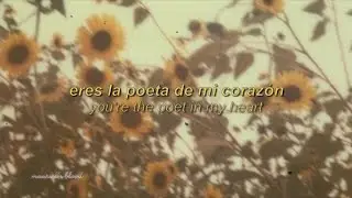 Sara -  Fleetwood Mac (Sub Espa&ntilde;ol // Lyrics)