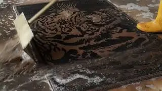 Rug Cleaning 