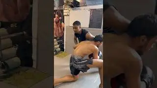 #mma #training #padding #prowarriormma #trainwithamaan