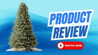 Honest Review of This Balsam Hill Fir Christmas Tree!