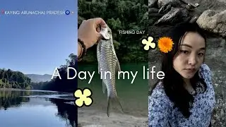 Village blog | fishing 🎣 day with siblings ✨