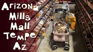Where Can I Walk My Pet Indoors In Tempe? / Arizona Mills Mall Review / Dog Friendly Shopping
