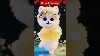 Dancing cat#dancing #cat #cats #catlove #dog #dpglover#dogs #catstagram