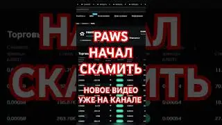 PAWS СКАМ SCAM ПЕРЕНОС ЛИСТИНГА ПАВС КОГДА LISTING AIRDROP ДРОП ЛАП #павс #telegrambot #listing