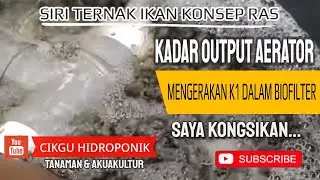 KADAR OUTPUT AERATOR UNTUK MENGERAKAN K1 DALAM BIOFILTER SISTEM RAS. INI SET KU