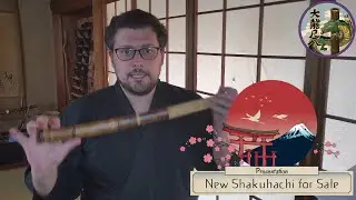 Four New Yozan Beginner Flutes for Sale