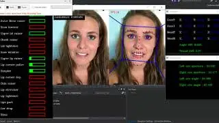 OpenFace smile detection