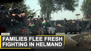 Afghan-Taliban conflict: Violence increases despite peace talks | World News | WION News
