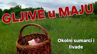 GLjIVE U MAJU-okolni sumarci i livade-razlicite interesantne vrste!