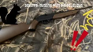 Squirrel hunting with old pellet gun!!#like #hunting #viral #blowup #subscribe #jessus 