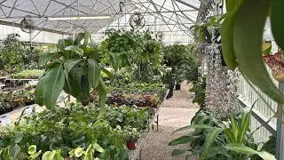 Going Back! Birthday Plant Shopping!! 😍🪴