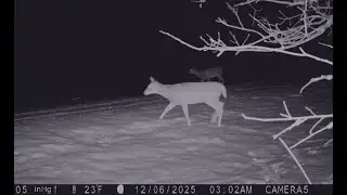 Video Capture 2 Browns Ranch December 13, 2025 Browns Ranch