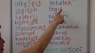 BELAJAR BAHASA BELANDA | 8 KATA BELANDA DI BAHASA INDONESIA