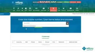 Relipay Hisaab Book (Aadhaar Pay) Tutorial