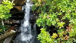 Crarae Garden 06.09.21 Highlands