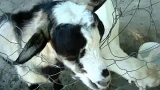 MOV09471