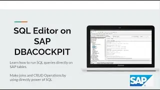 How to Run SQL Queries Directly on SAP Database Tables