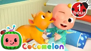 Wake Up Brother John! 🔔 | CoComelon | Best Animal Videos for Kids | Kids Songs and Nursery Rhymes