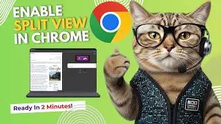 Enable Split View Mode in Google Chrome | Easy