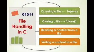 Programming Fundamentals -C Language-Binary File or Random File Create, Read, Write +Example of Bank