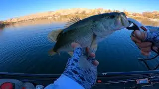 Los Banos Creek Fishing
