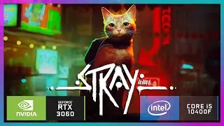 STRAY | RTX 3060 | i5 10400F | 1080P | HIGH SETTINGS