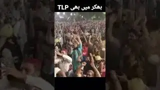 بھکر میں ٹی ایل پی  | TLP status | Saad Rizvi status | Saad Hussain Rizvi Status | 710GB Official