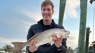 How to Catch Red Drum (Rudee inlet)