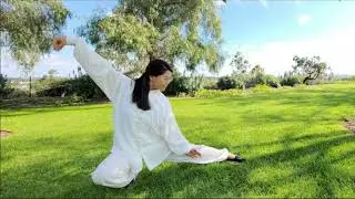 Avocation &ndash; Tai-chi