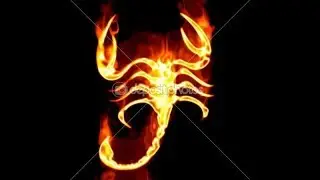 SCORPIO Love Tarot Reading April, 2019