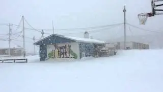 Eden, NY Heavy Lake Effect Snow 1-11-2016
