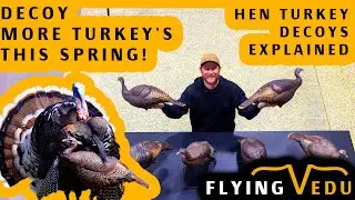 How to use Hen Turkey Decoys to Kill More Big Toms This Spring! 🦃🎯